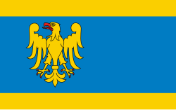 POL Pszczyna flag